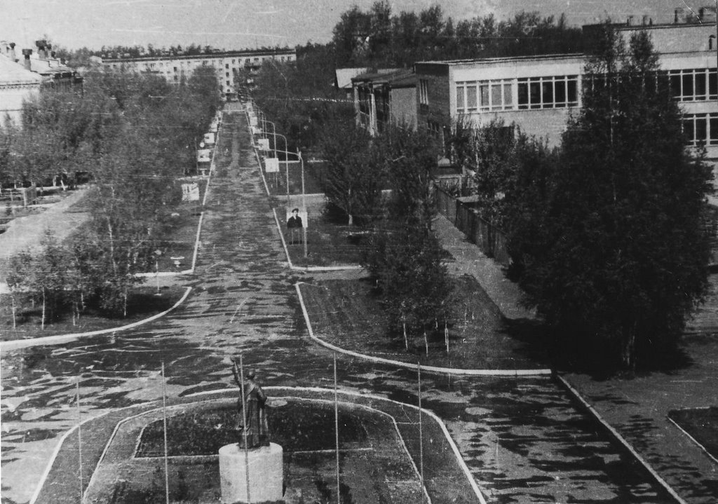 Вид аллеи с крыши штаба (1976)
