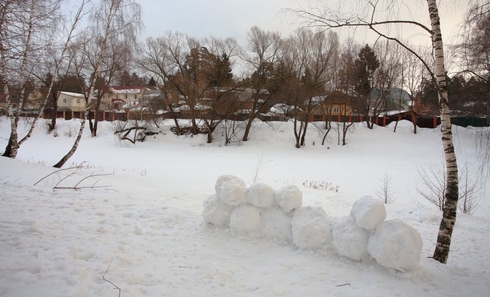 зимним пасмурным днем