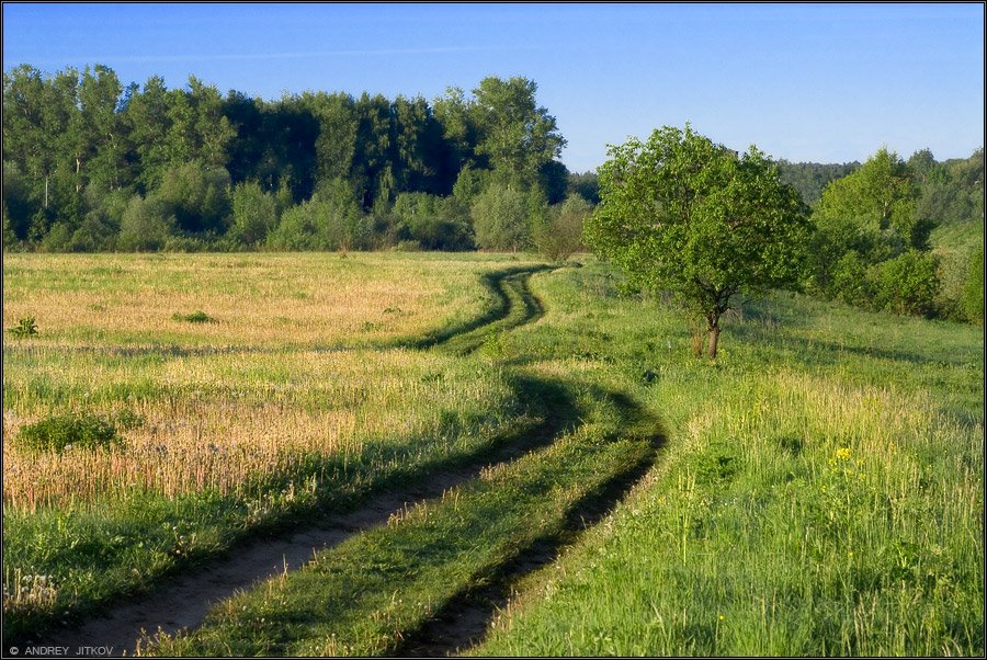 Пейзаж - Landscape