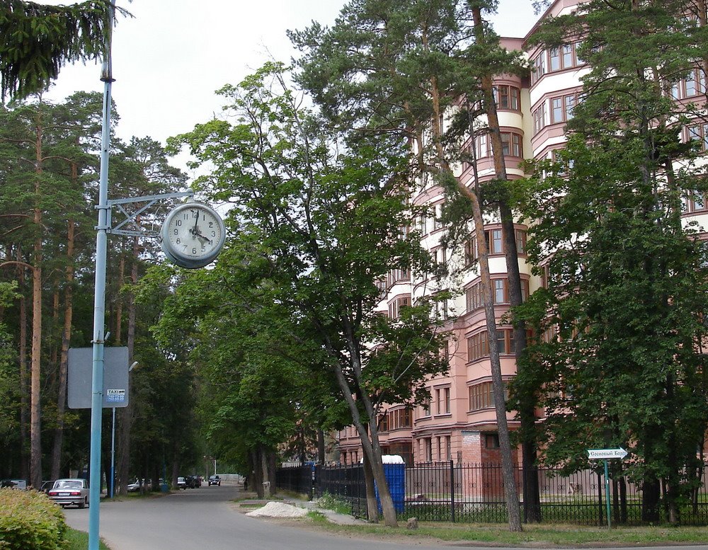 Moscow. Старинные часы еще идут...