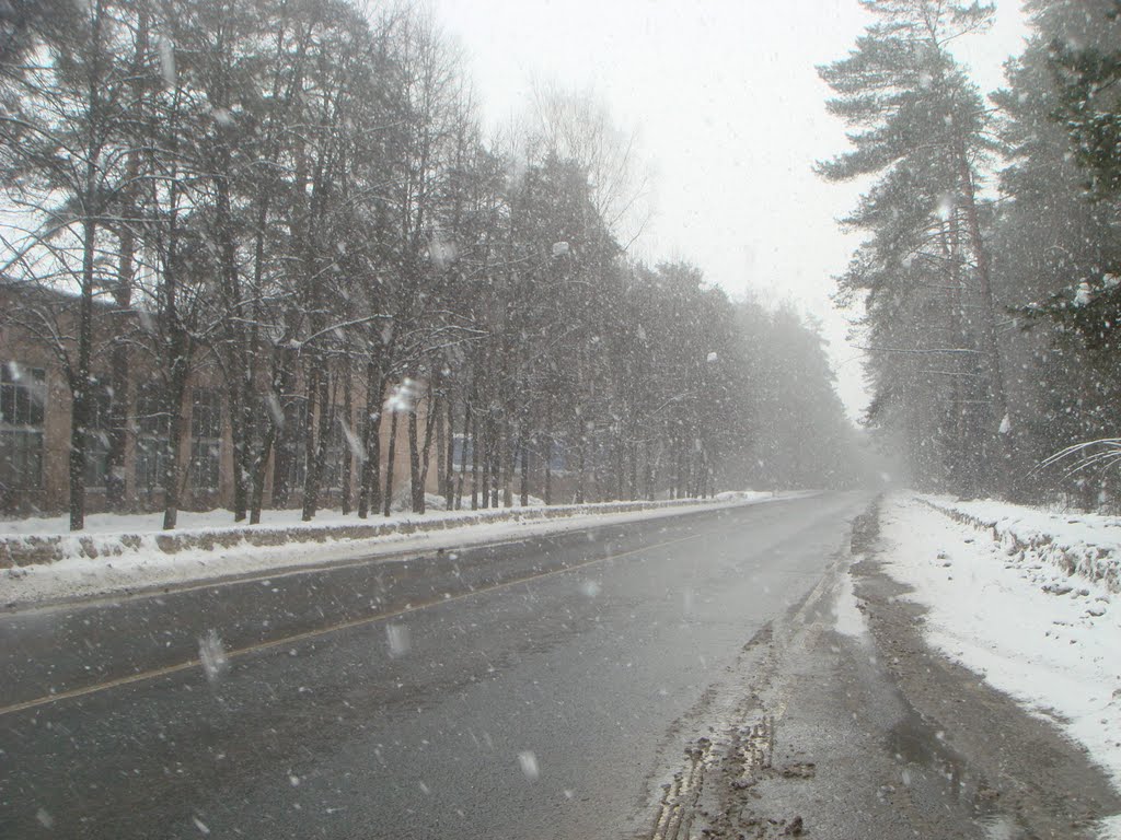 8 марта 2011 г. на 1-м Успенском ш