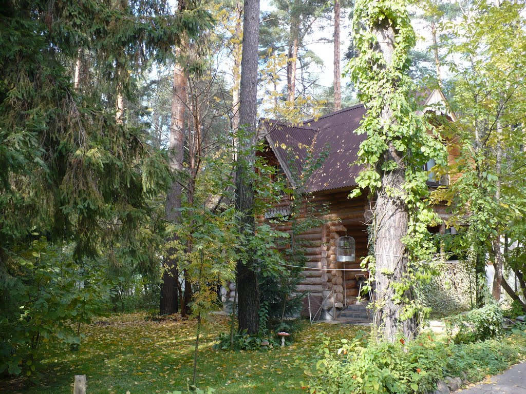 Домик Лешего