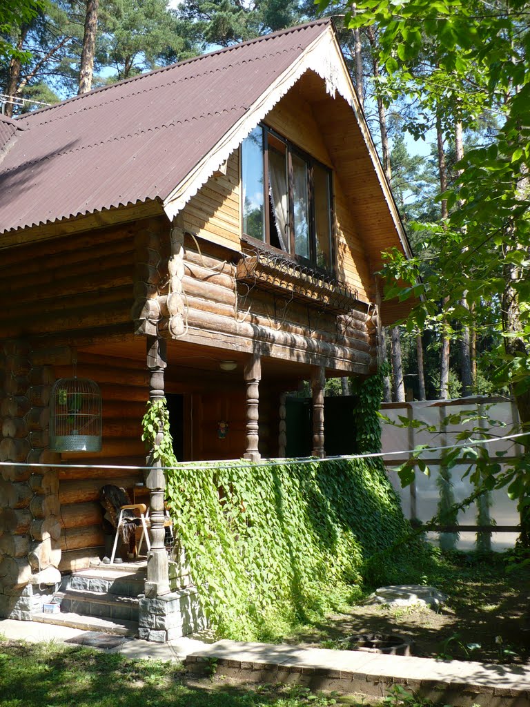 Лесной домик с попугаем