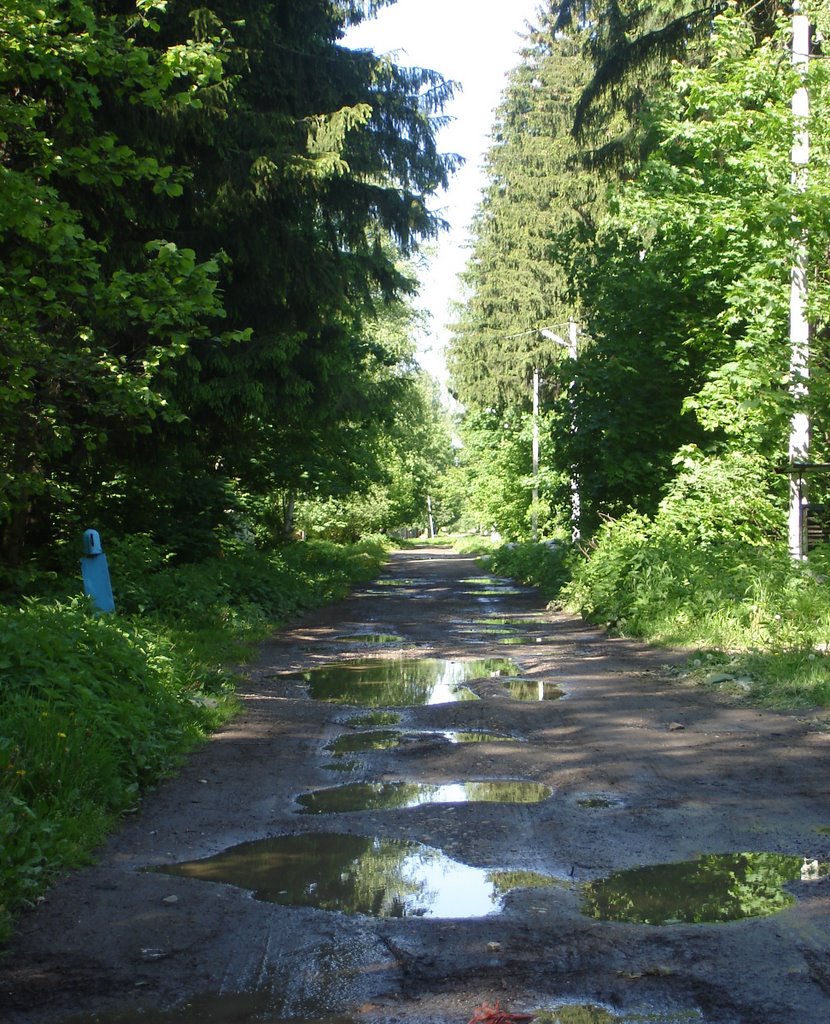 Фирсановка - Кирова