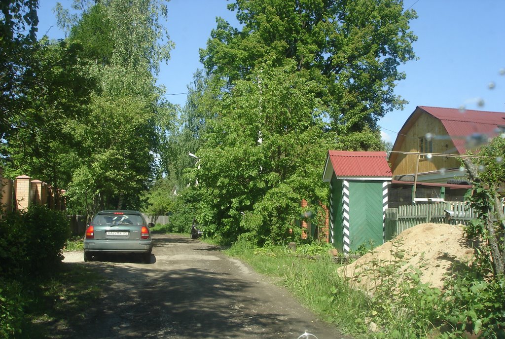 Фирсановка ул. Чехова