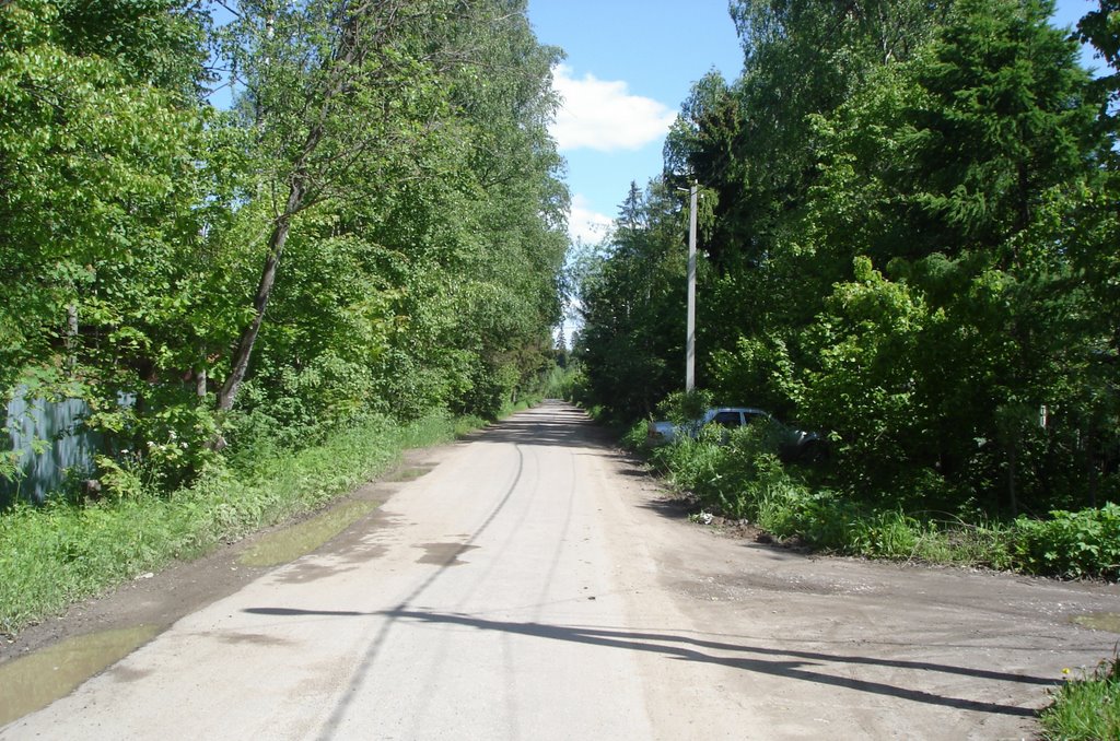 Фирсановка ул. Короленко