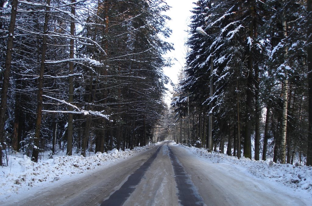 Фирсановка, лесничество!