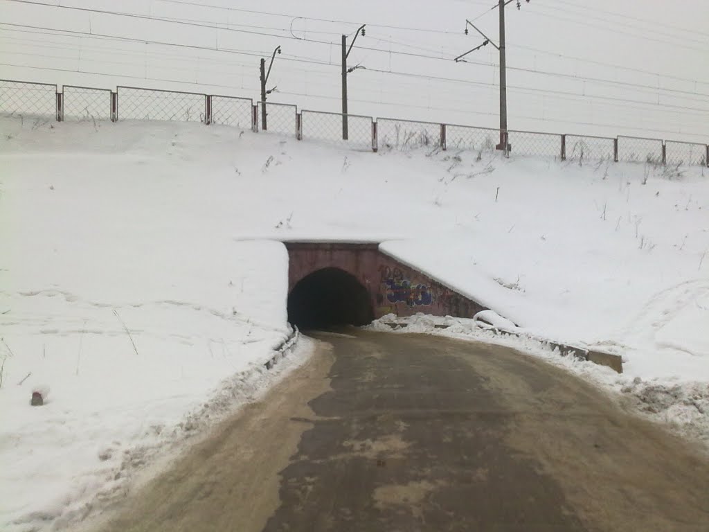 Нора