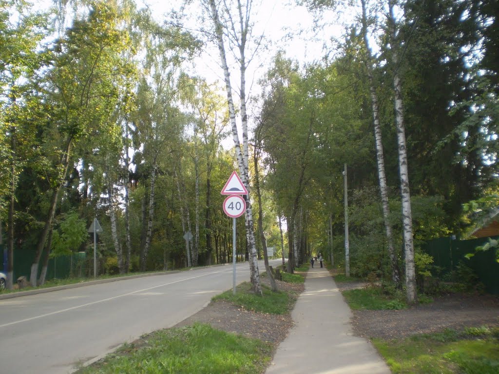 Фирсановка. Улица Мцыри.