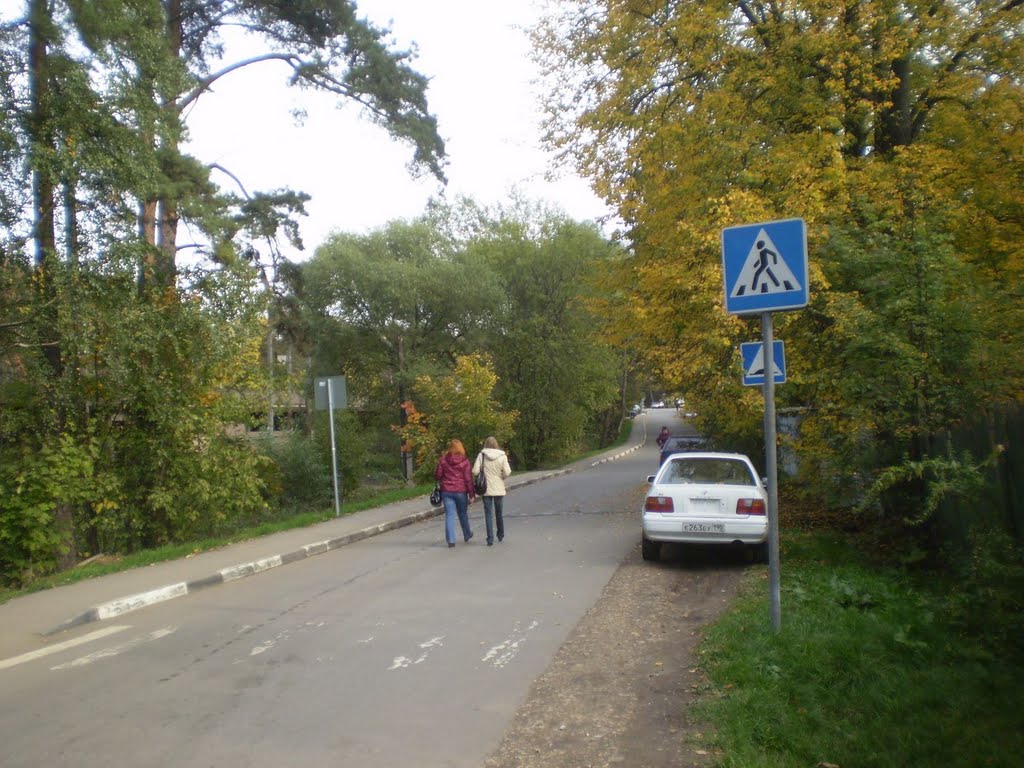 Улица в Фирсановке