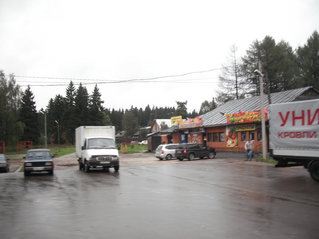 Фирсановка, у переезда.