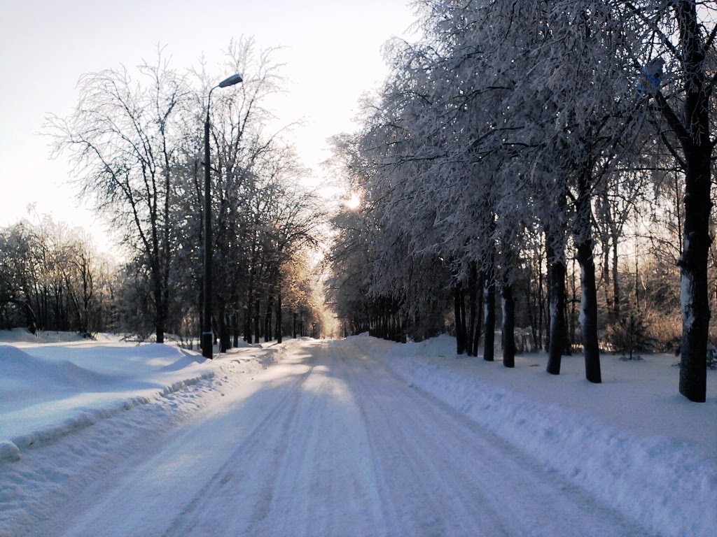 Зимняя дорога