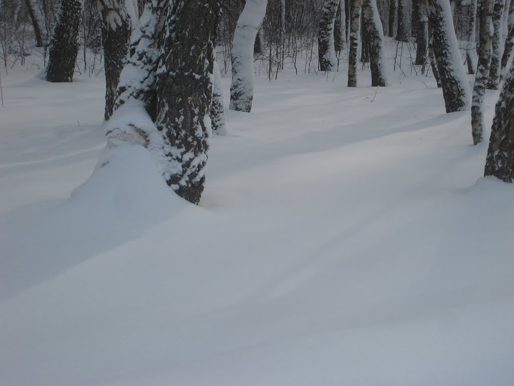 Firsanovka