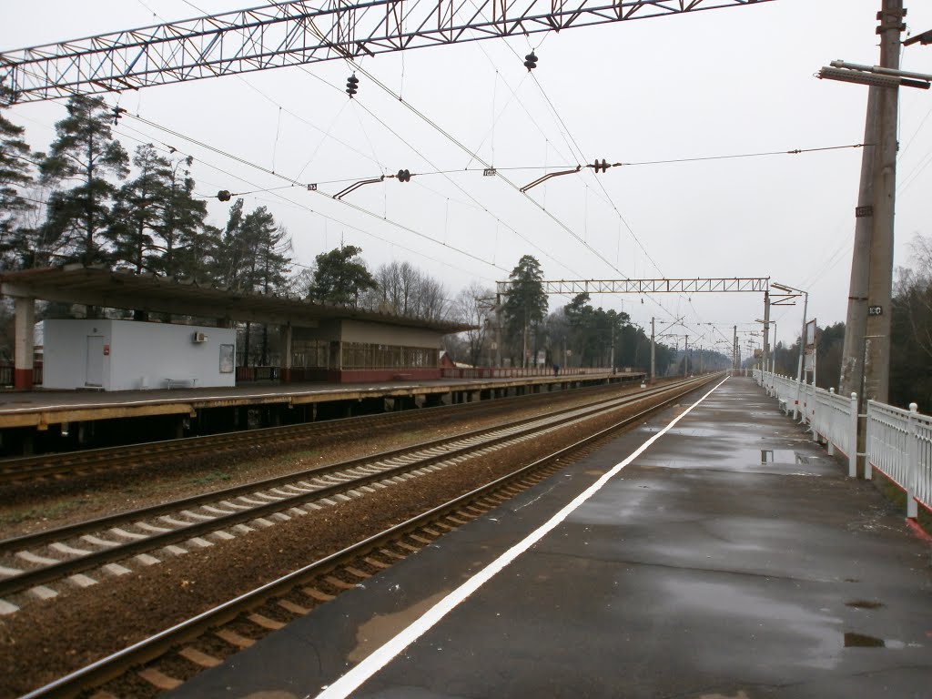 Фирсановка