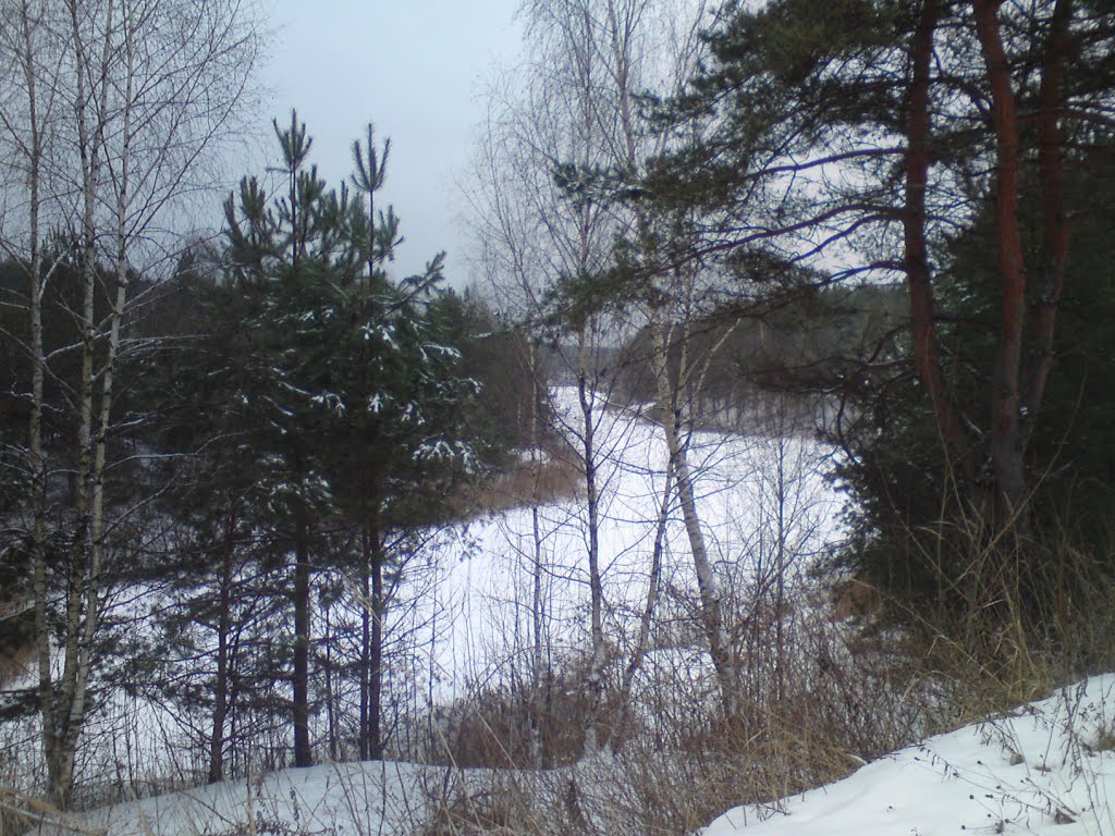 Зимний берег.
