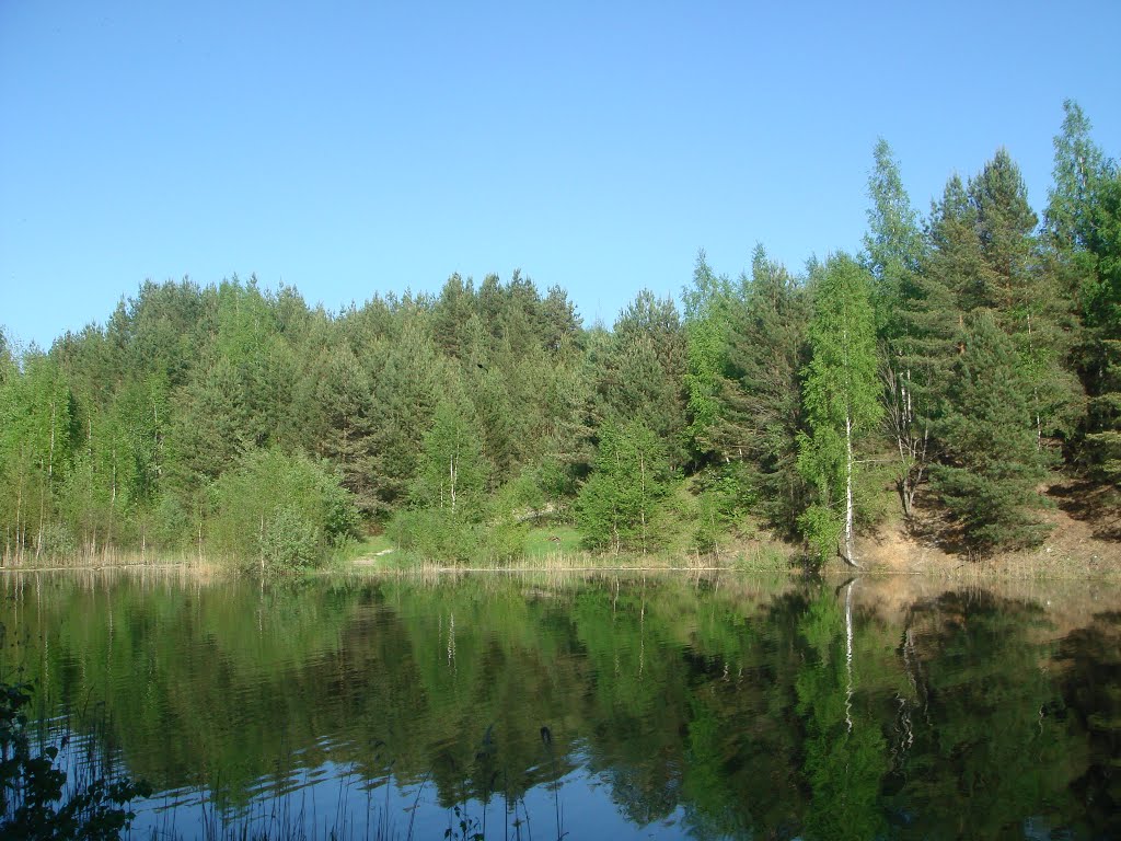 Лесной карьер.