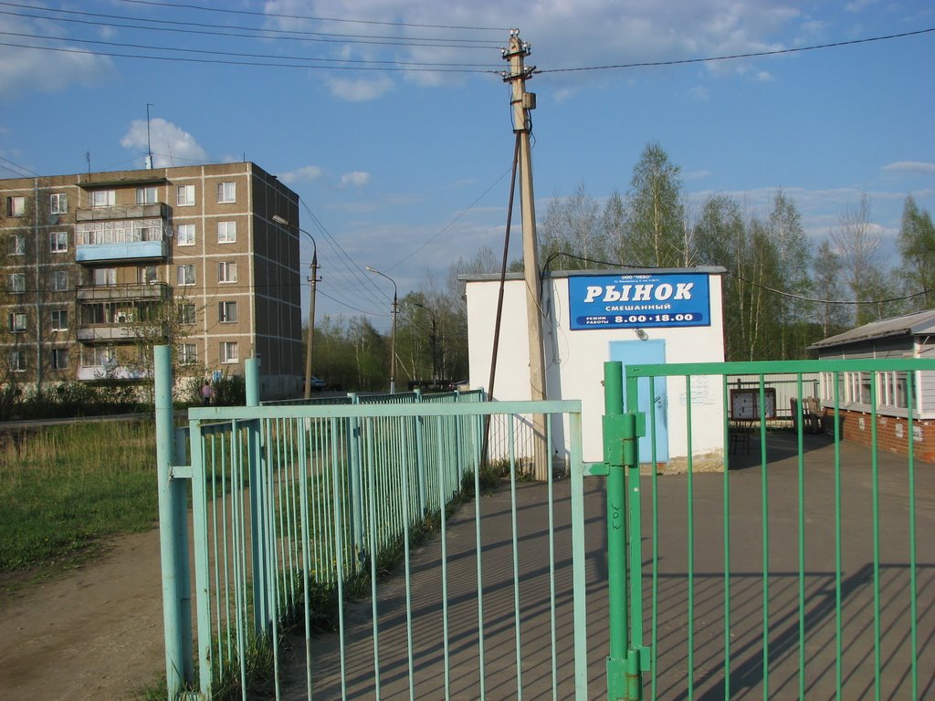 Вид на старый рынок и дом №1 по ул. Воинской славы