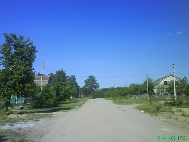Фосфоритный летом.