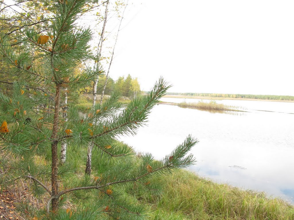Карьеры 4