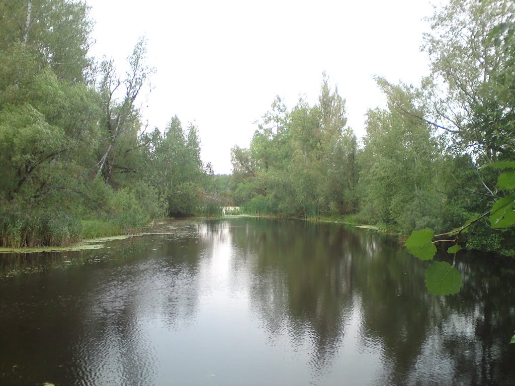 Старый  "школьный"  пруд.