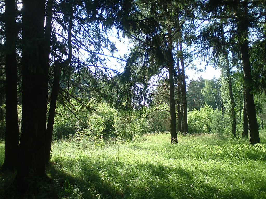 Свет и тень.