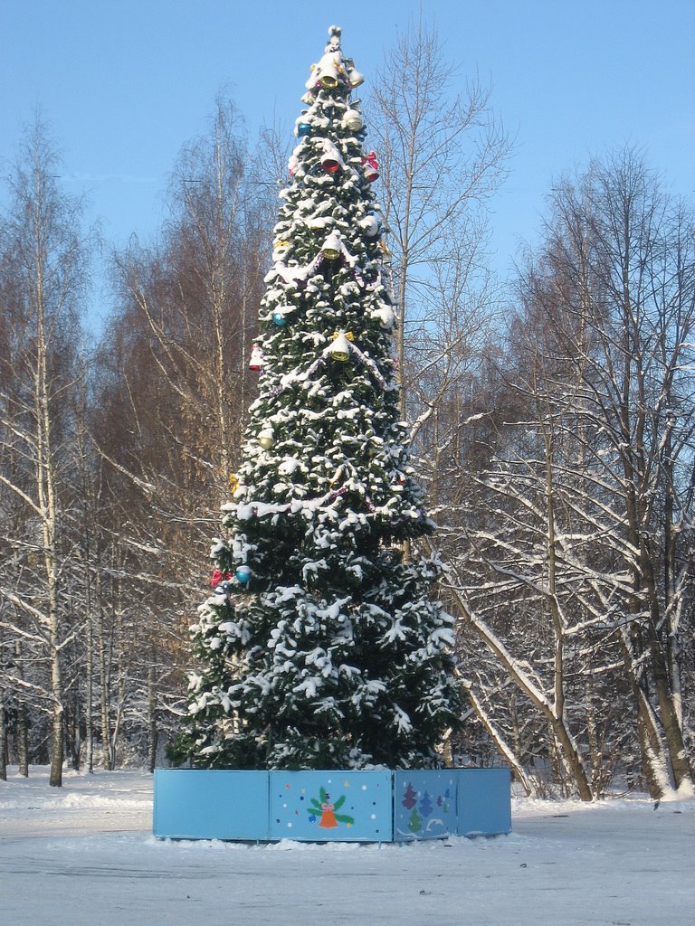 С Новым Годом! Happy New Year!