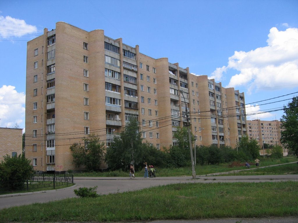 дом "Круглый дурак"