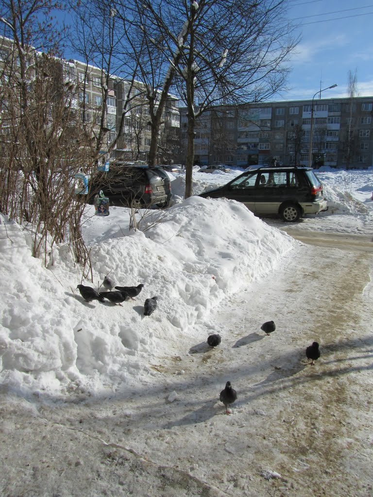Мол. 4.