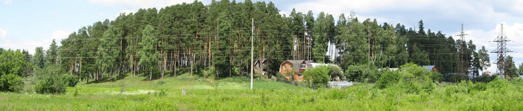 Панарама