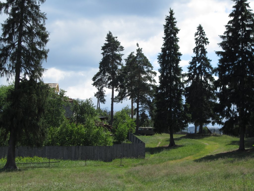 Ели.
