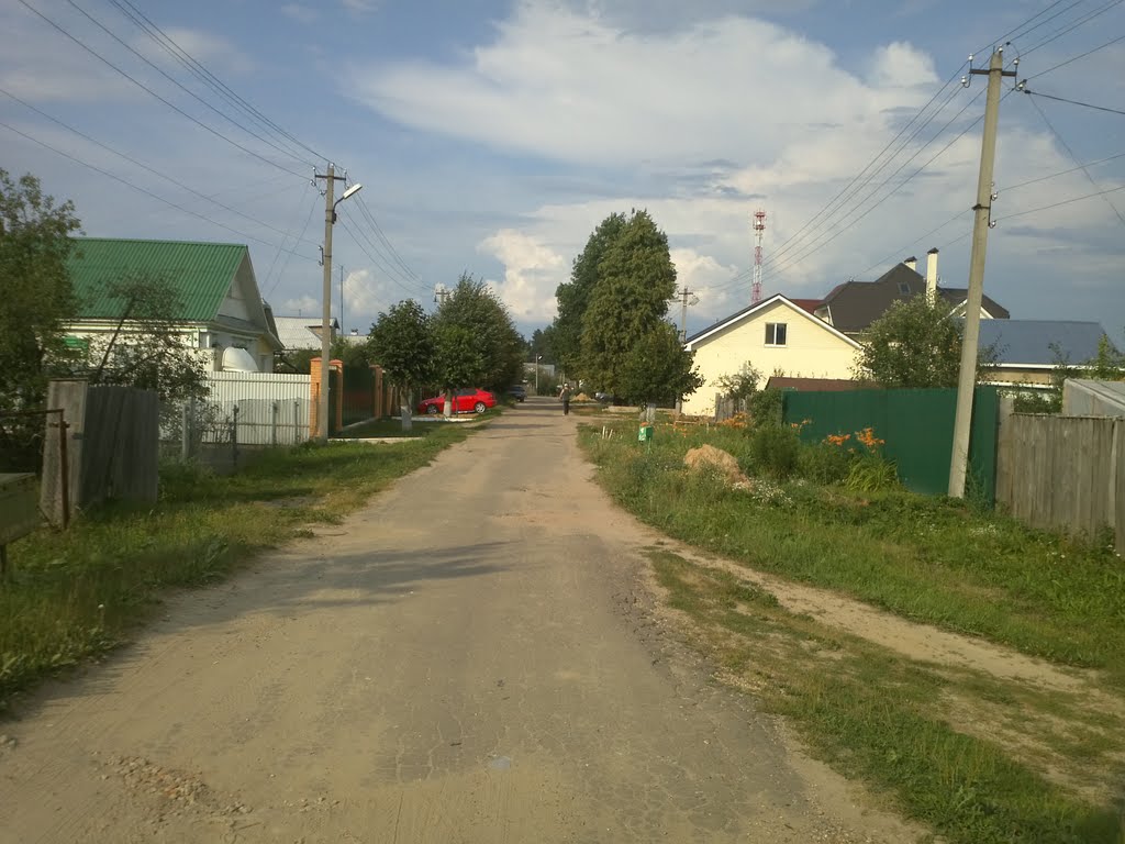 Чекаловская улица