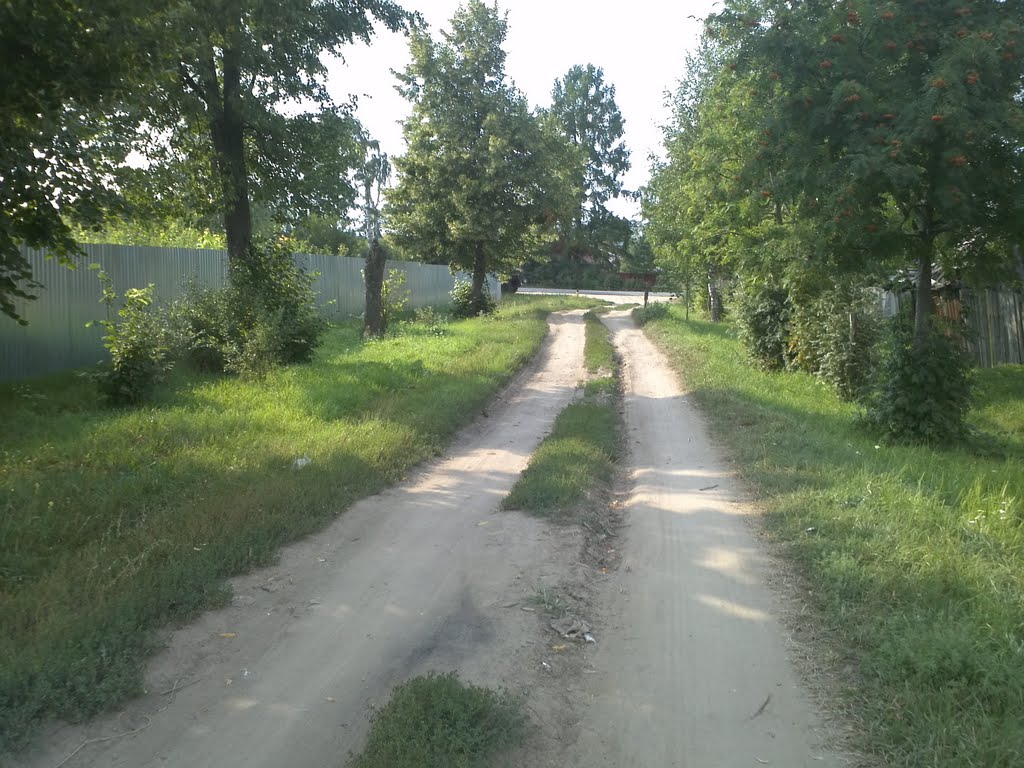 Чекаловская улица