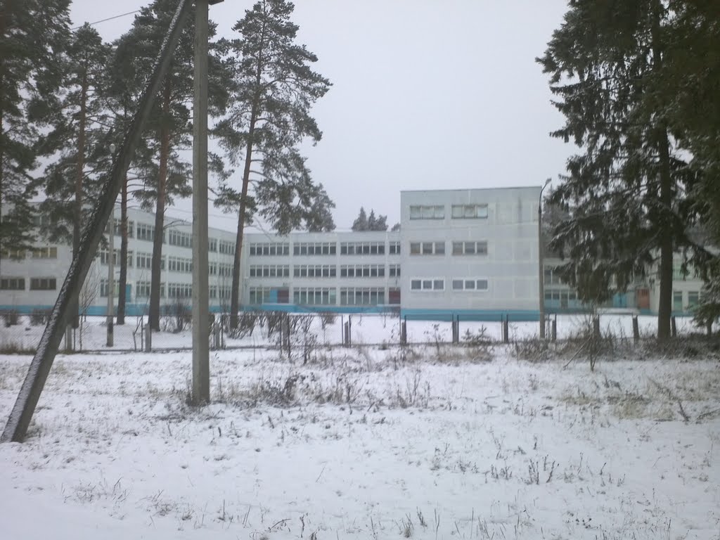 Школа 1