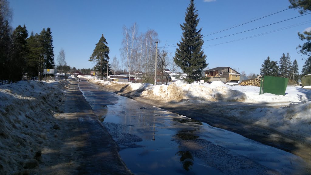 Дорога в  д. Голвино