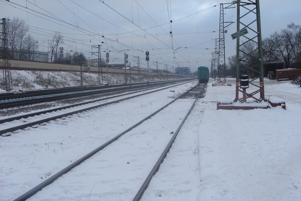 Химки