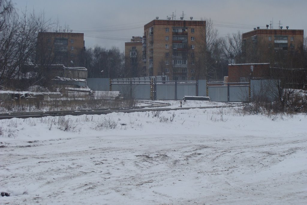 Химки