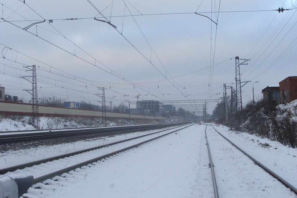 Химки