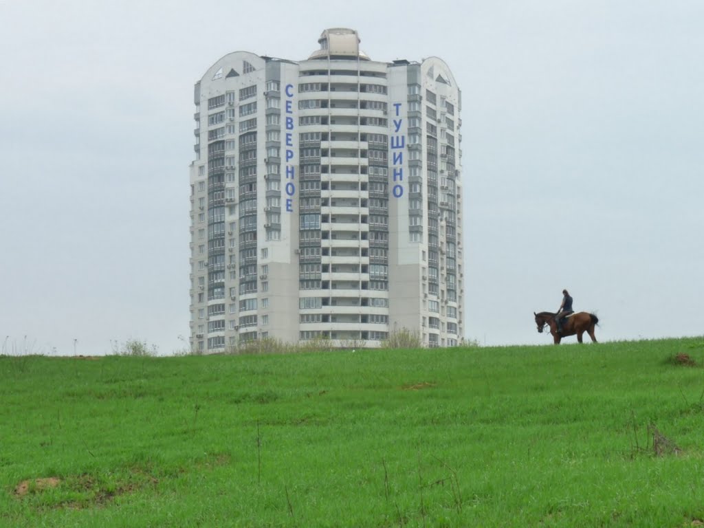 Край города