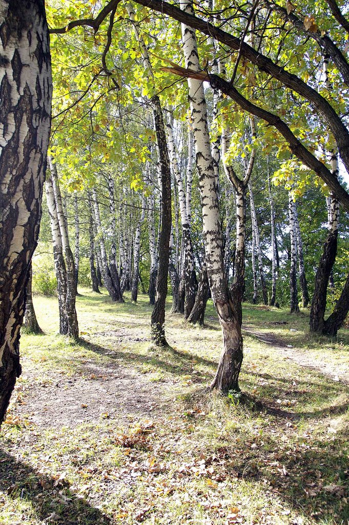 Park Tushino