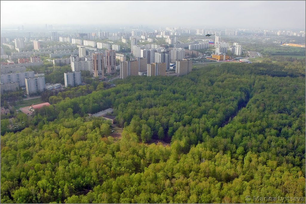Майские зеленя