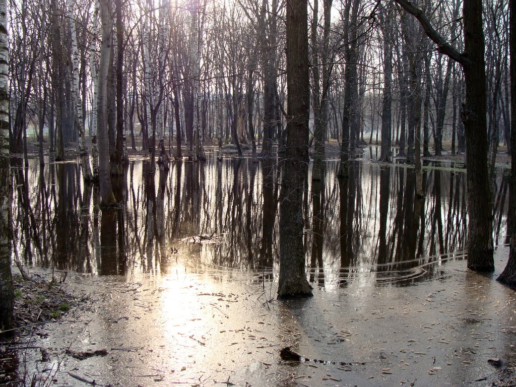 Парк в Химках. Весна