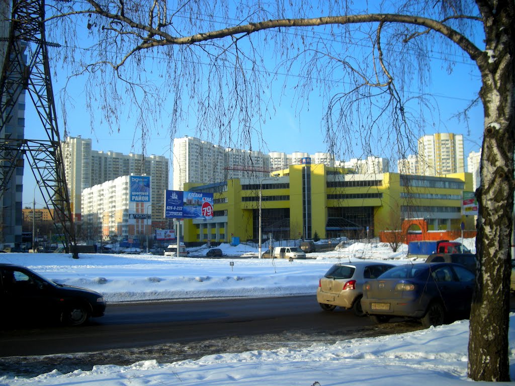 вид на Химки