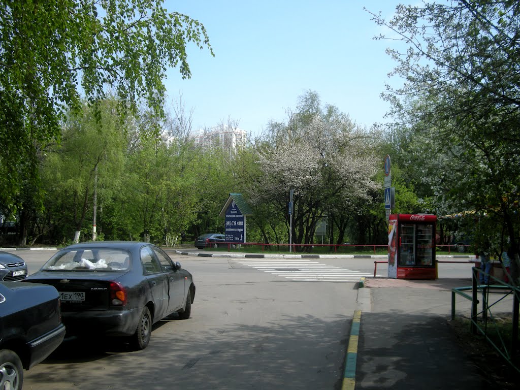 В Химках весной