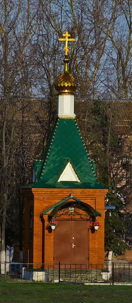 Часовня Иконы Божией Матери Живоносный Источник в Хорлово