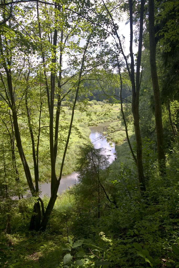 Abramtsevo, Vorya river, July-2008