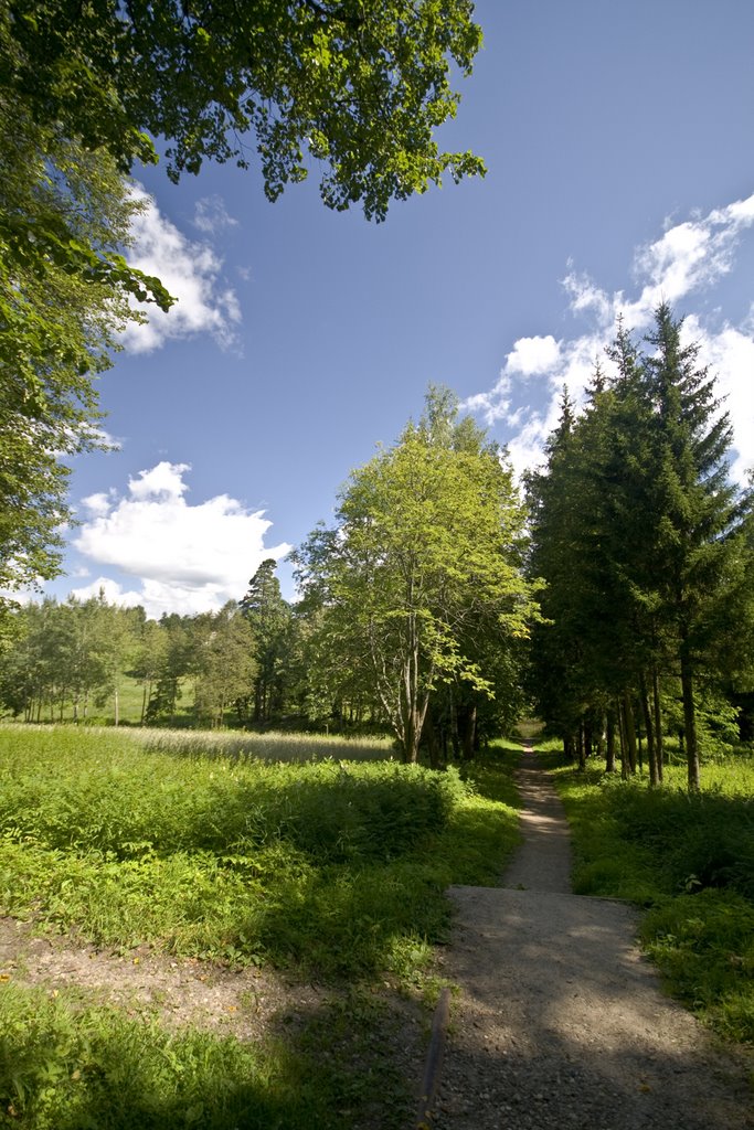 Abramtsevo, July-2008