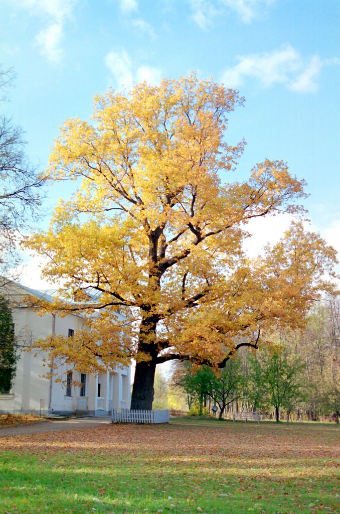 Abramtsevo, Russia