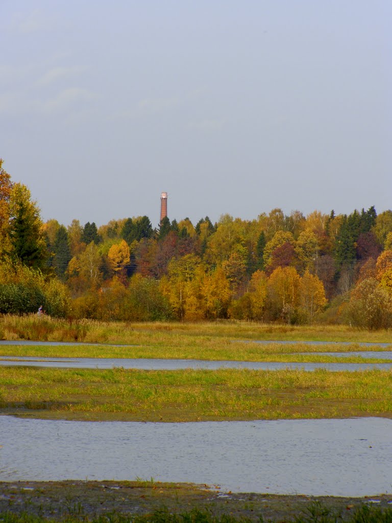 Краски осени