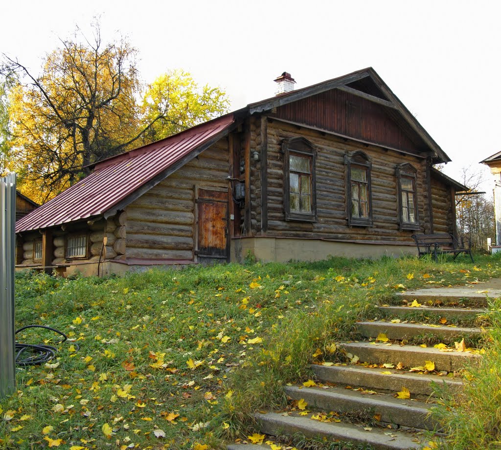 Кухня (1870)