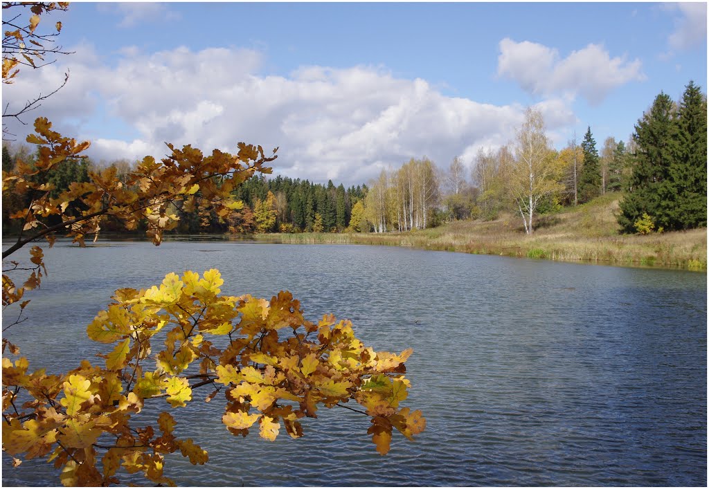 Усадьба Абрамцево. Осенний пейзаж. 09.2012.